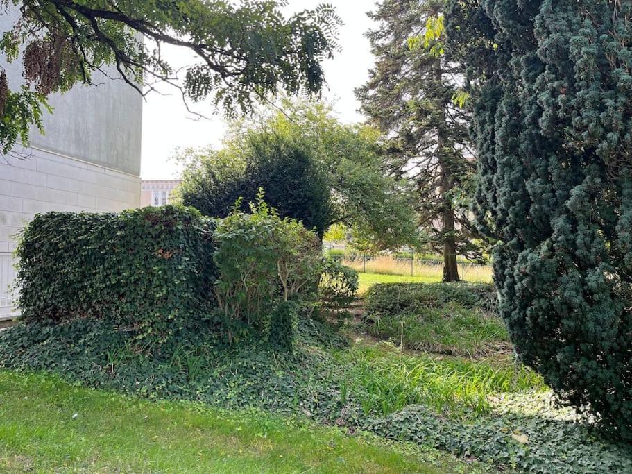 Gites Maisons De Champagnes Remeš Exteriér fotografie